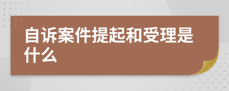 自诉案件提起和受理是什么