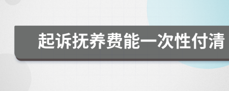 起诉抚养费能一次性付清