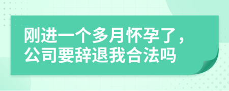 刚进一个多月怀孕了，公司要辞退我合法吗