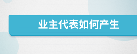 业主代表如何产生