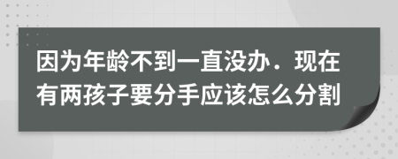 因为年龄不到一直没办．现在有两孩子要分手应该怎么分割