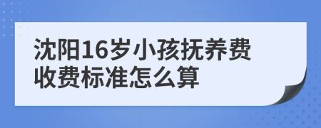 沈阳16岁小孩抚养费收费标准怎么算