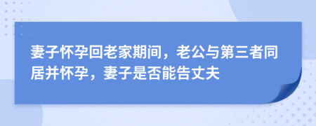 妻子怀孕回老家期间，老公与第三者同居并怀孕，妻子是否能告丈夫