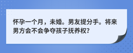 怀孕一个月，未婚。男友提分手。将来男方会不会争夺孩子抚养权？