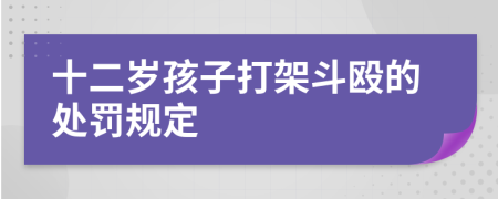 十二岁孩子打架斗殴的处罚规定