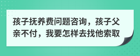 孩子抚养费问题咨询，孩子父亲不付，我要怎样去找他索取