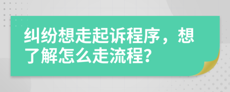 纠纷想走起诉程序，想了解怎么走流程？