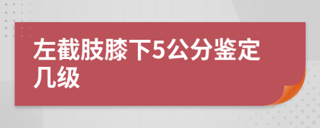 左截肢膝下5公分鉴定几级