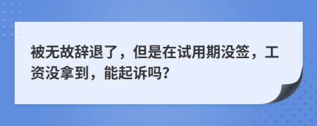 被无故辞退了，但是在试用期没签，工资没拿到，能起诉吗？