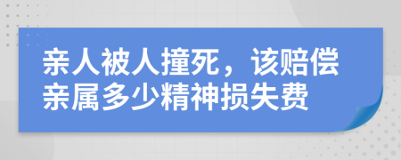 亲人被人撞死，该赔偿亲属多少精神损失费