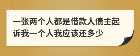 一张两个人都是借款人债主起诉我一个人我应该还多少