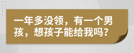 一年多没领，有一个男孩，想孩子能给我吗？