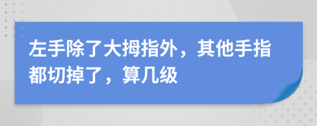 左手除了大拇指外，其他手指都切掉了，算几级