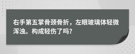 右手第五掌骨颈骨折，左眼玻璃体轻微浑浊。构成轻伤了吗？