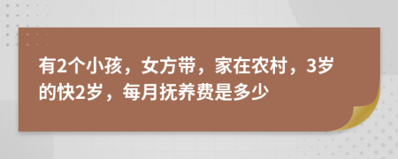 有2个小孩，女方带，家在农村，3岁的快2岁，每月抚养费是多少