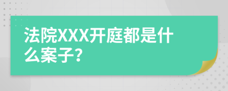 法院XXX开庭都是什么案子？