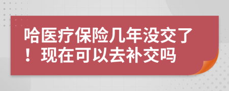 哈医疗保险几年没交了！现在可以去补交吗