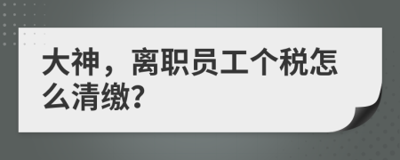 大神，离职员工个税怎么清缴？