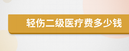 轻伤二级医疗费多少钱