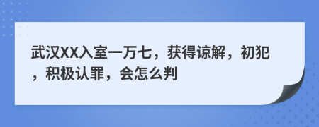 武汉XX入室一万七，获得谅解，初犯，积极认罪，会怎么判