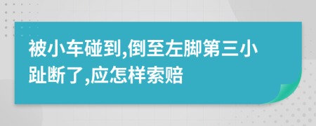 被小车碰到,倒至左脚第三小趾断了,应怎样索赔