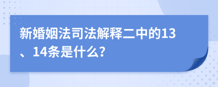 新婚姻法司法解释二中的13、14条是什么？