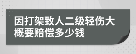 因打架致人二级轻伤大概要赔偿多少钱