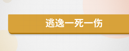 逃逸一死一伤