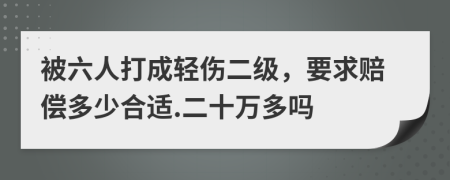 被六人打成轻伤二级，要求赔偿多少合适.二十万多吗