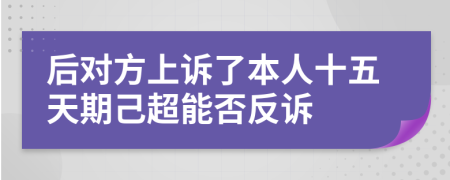 后对方上诉了本人十五天期己超能否反诉