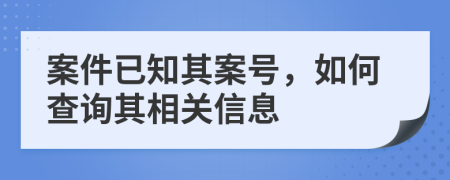 案件已知其案号，如何查询其相关信息