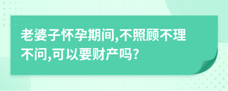 老婆子怀孕期间,不照顾不理不问,可以要财产吗?