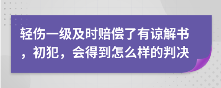 轻伤一级及时赔偿了有谅解书，初犯，会得到怎么样的判决