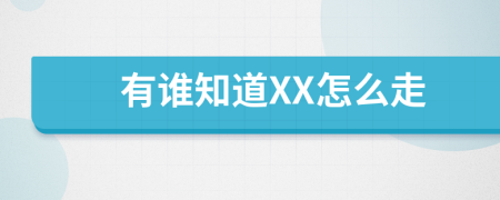 有谁知道XX怎么走