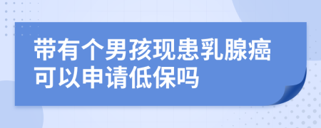 带有个男孩现患乳腺癌可以申请低保吗