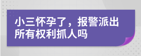 小三怀孕了，报警派出所有权利抓人吗