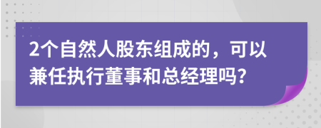 2个自然人股东组成的，可以兼任执行董事和总经理吗？