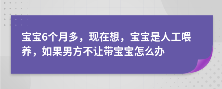 宝宝6个月多，现在想，宝宝是人工喂养，如果男方不让带宝宝怎么办