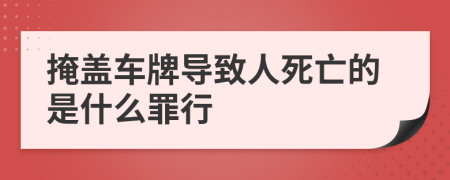 掩盖车牌导致人死亡的是什么罪行