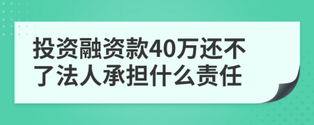 投资融资款40万还不了法人承担什么责任
