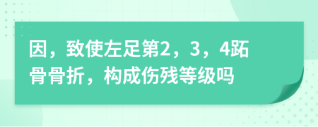 因，致使左足第2，3，4跖骨骨折，构成伤残等级吗