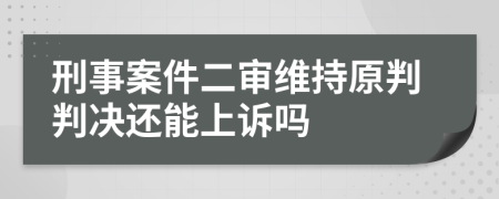 刑事案件二审维持原判判决还能上诉吗