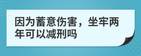 因为蓄意伤害，坐牢两年可以减刑吗