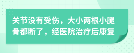 关节没有受伤，大小两根小腿骨都断了，经医院治疗后康复