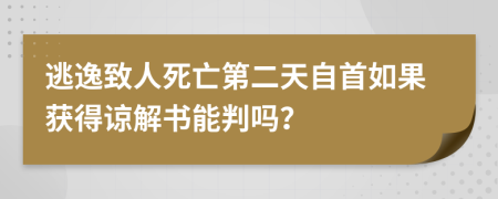 逃逸致人死亡第二天自首如果获得谅解书能判吗？