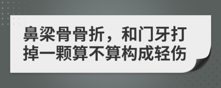 鼻梁骨骨折，和门牙打掉一颗算不算构成轻伤