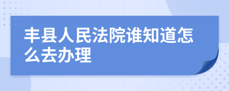 丰县人民法院谁知道怎么去办理