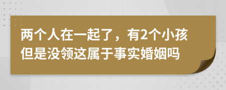 两个人在一起了，有2个小孩但是没领这属于事实婚姻吗