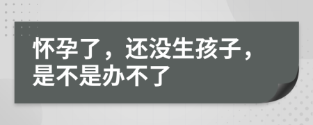 怀孕了，还没生孩子，是不是办不了