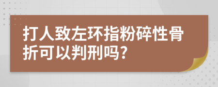 打人致左环指粉碎性骨折可以判刑吗?